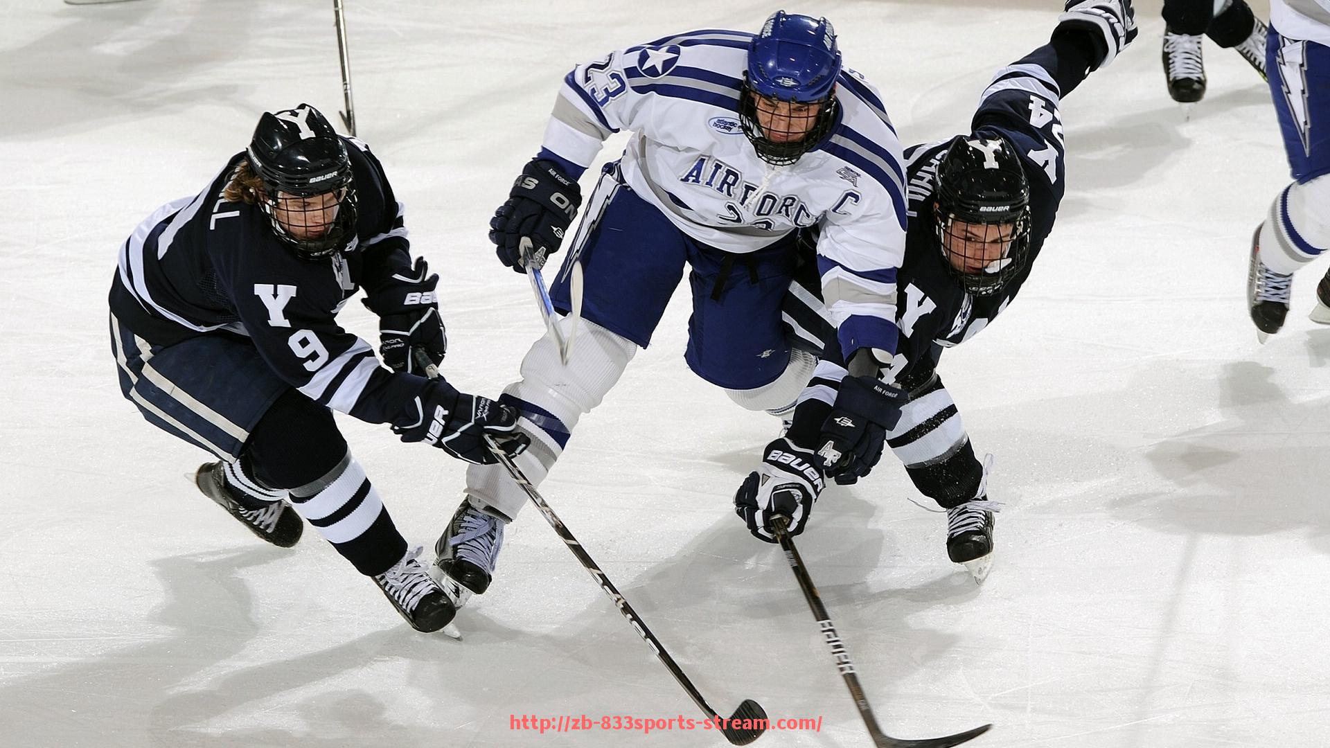 833体育直播-健身房体育健身器材的配置标准与分类参考